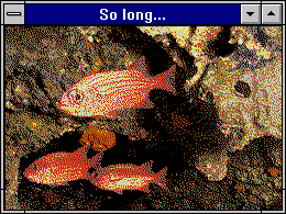 old fish screensaver